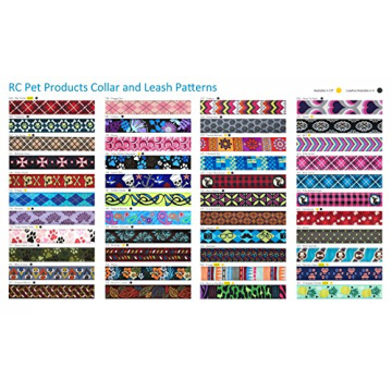 RC Pets 5/8 Inch Adjustable Dog Clip Collar, X-Small, Tropical Paisley