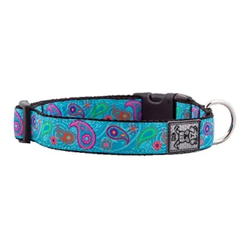 Stylish RC Pets Adjustable Dog Collar for Small Dogs