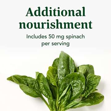 INNATE Magnesium 300 mg - Vegetarian Mineral Support