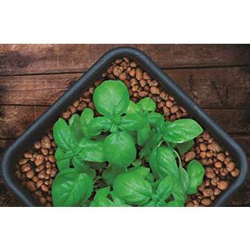 GROW!T GMC40l - 4mm-16mm Clay Pebbles, Brown, (40 Liter Bag) - Made from 100% Natural Clay, Can be used for Drainage, Decoration, Aquaponics, Hydroponics and Other Gardening Essentials