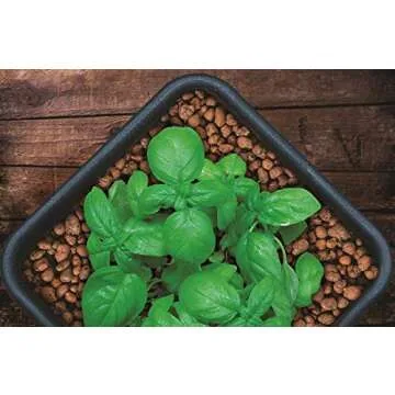 GROW!T GMC40l - 4mm-16mm Clay Pebbles, Brown, (40 Liter Bag) - Made from 100% Natural Clay, Can be used for Drainage, Decoration, Aquaponics, Hydroponics and Other Gardening Essentials