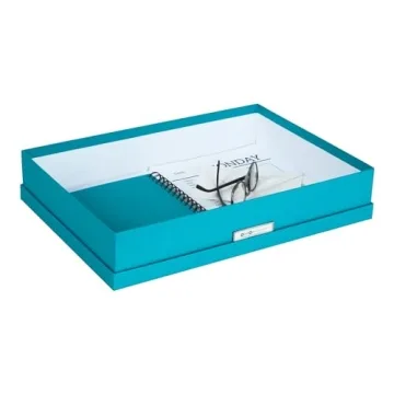 Bigso Sverker Storage Box for Papers and Artwork