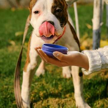 BOTTLE BOTTLE 40 oz sports water bottle stainless steel insulated water bottle with straw and pills ...