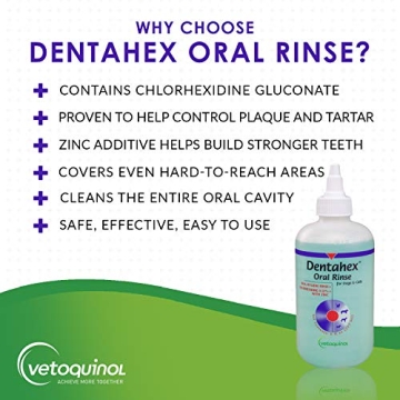 Effective Vetoquinol Dentahex Pet Oral Hygiene Rinse