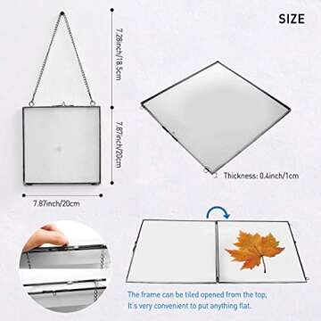 Daisylily 8x8 Inch Brass Hanging Photo Frame, Copper Glass Picture Frames Clip Modern Wall Decor Plant Specimen Artwork Ornament Display Black Square