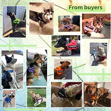 voopet Service Dog Harness, Emotional Support Pet Vest Harness, Reflective Breathable and Adjustable No-Pull ESA Dog Harness for Small Medium Large Dogs (with 4 PCS Removeable Tags)