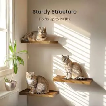 AMADA HOMEFURNISHING Floating Shelves, Wall Shelves for Bathroom/Living Room/Bedroom/Kitchen Decor, Decor Shelf with Invisible Brackets Set of 3, Rustic Brown - AMFS07V