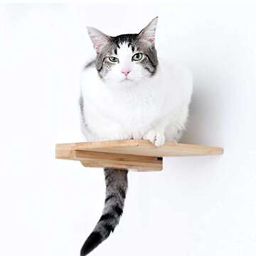 Catastrophic Creations Cat Step Bamboo Shelf w/Cork Pad — Cat Wall Shelves — Cat Wall Furniture ...