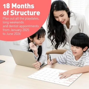S&O Modern Large Desk Calendar 2025-2026 for Productivity
