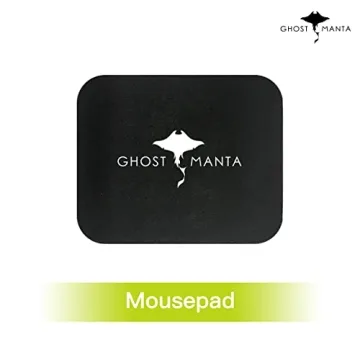 Lenovo IdeaPad 1 Laptop with AMD Athlon and 12GB RAM