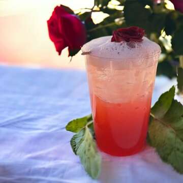 12oz Hard Plastic Party Cups – Perfect for Home, Office, Bars, Weddings, Showers, Birthdays, Anniversaries, and Parties! Durable & Stylish Old Fashioned Tumblers (Clear, 100 Pack)