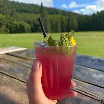 12oz Hard Plastic Party Cups – Perfect for Home, Office, Bars, Weddings, Showers, Birthdays, Anniversaries, and Parties! Durable & Stylish Old Fashioned Tumblers (Clear, 100 Pack)