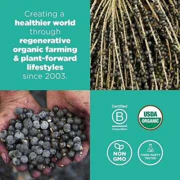 Navitas Organics Acai Powder 4oz - Pure Superfood