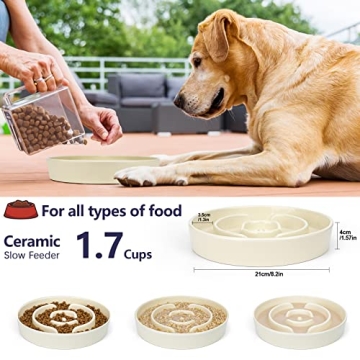 JMMXG Slow Feeder Dog Bowls for Healthy Eating