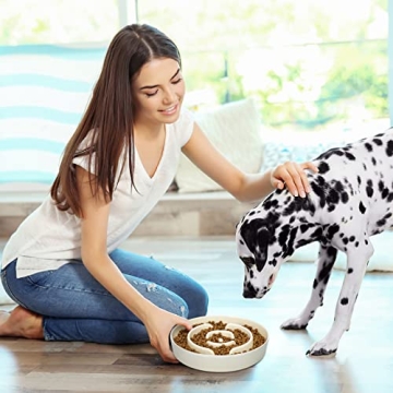 JMMXG Slow Feeder Dog Bowls for Healthy Eating