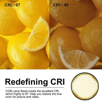 GVM 300W COB LED Video Light Kit with Softbox