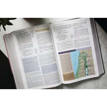 NIV Application Bible Large Print Leathersoft Pink Gray