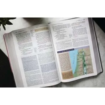 NIV Application Bible Large Print Leathersoft Pink Gray