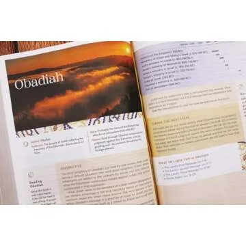 NIV Application Bible Large Print Leathersoft Pink Gray