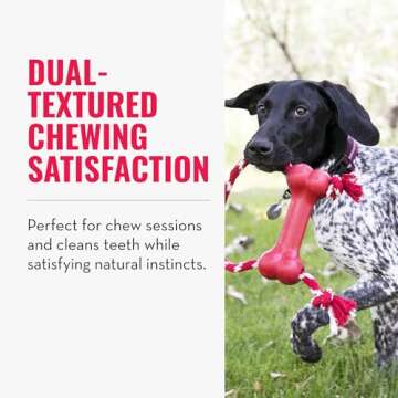 KONG Goodie Bone with Rope for Tough Chewers