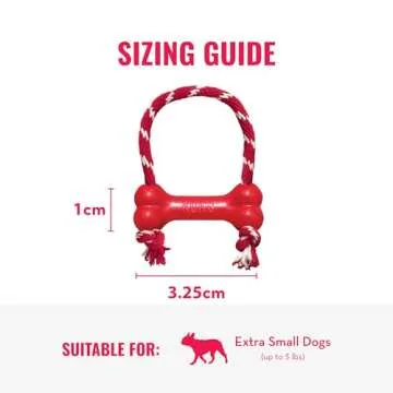 KONG Goodie Bone with Rope for Tough Chewers