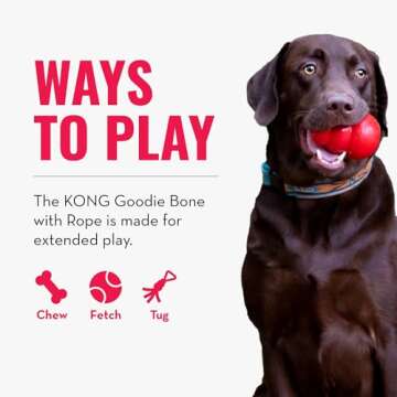 KONG Goodie Bone with Rope for Tough Chewers
