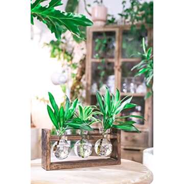 Ivolador Plant Terrarium Tabletop Glass Bulb Propagation Station with Wooden Stand for Hydroponics Plants Desktop Home Garden Wedding Décor (3 Bulbs-Brown)