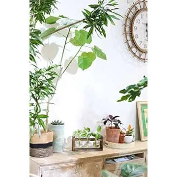 Ivolador Plant Terrarium Station with Wooden Stand