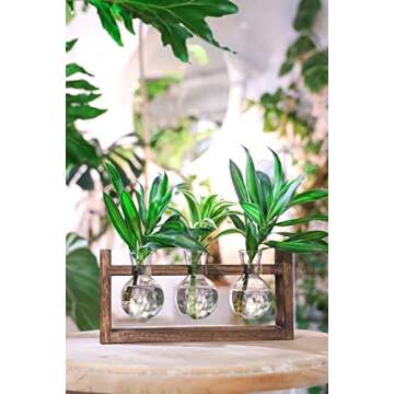Ivolador Plant Terrarium Tabletop Glass Bulb Propagation Station with Wooden Stand for Hydroponics Plants Desktop Home Garden Wedding Décor (3 Bulbs-Brown)