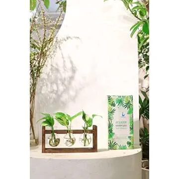 Ivolador Plant Terrarium Station with Wooden Stand