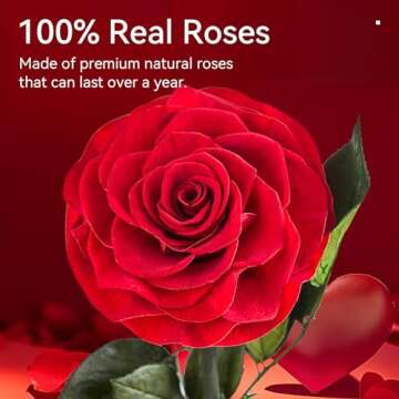 puto Gifts for Mom Preserved Roses in Glass Dome Beauty and The Beast Rose Gift for Her Mother's Day Thanksgiving Christmas Valentine's Day Birthday (Red Rose)