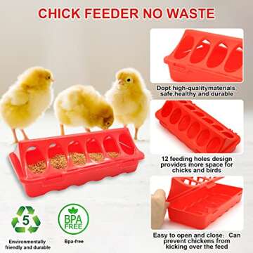 GIFANK Chick Feeder and Waterer Kit for Small Poultry