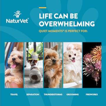 NaturVet Quiet Moments Calming Aid Dog Supplement, Helps Promote Relaxation, Reduce Stress, Storm Anxiety, Motion Sickness for Dogs (Quiet Moments, 180 Soft Chews)
