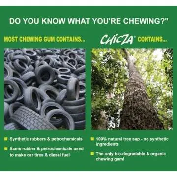 Natural Mayan Chewing Gum "Chicza" - 2 x 12 Mint Gums