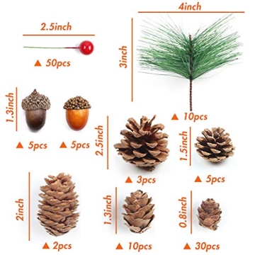 DomeStar 120PCS Pine Cone Red Berry Craft Set