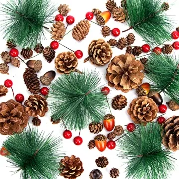 DomeStar 120PCS Pine Cone Red Berry Craft Set