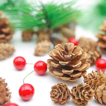 DomeStar 120PCS Pine Cone Red Berry Craft Set