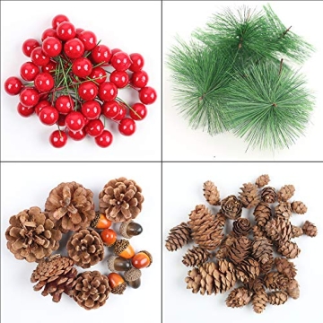DomeStar 120PCS Pine Cone Red Berry Craft Set