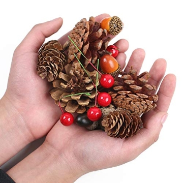 DomeStar 120PCS Pine Cone Red Berry Craft Set