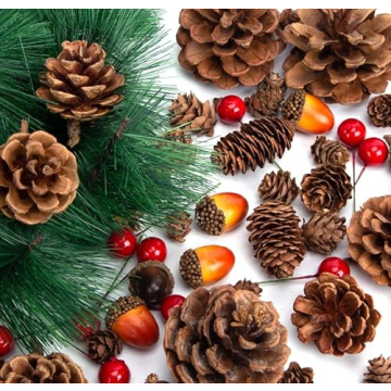 DomeStar 120PCS Pine Cone Red Berry Craft Set