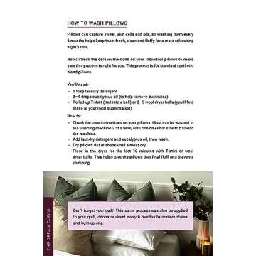 The Dream Clean: Budget-Friendly Eco Home Solutions