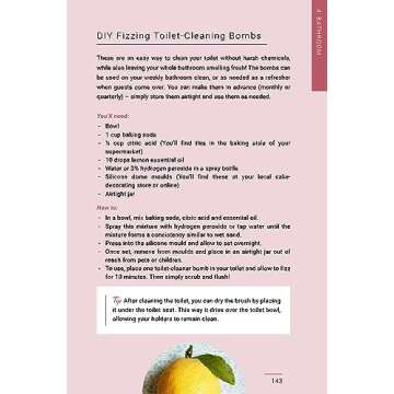 The Dream Clean: Budget-Friendly Eco Home Solutions