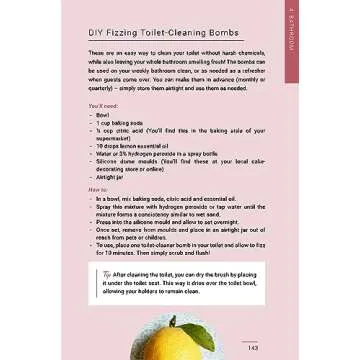 The Dream Clean: Budget-Friendly Eco Home Solutions