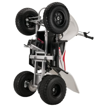 Razor Dirt Quad 500 for Teens and Adults - 36V Electric