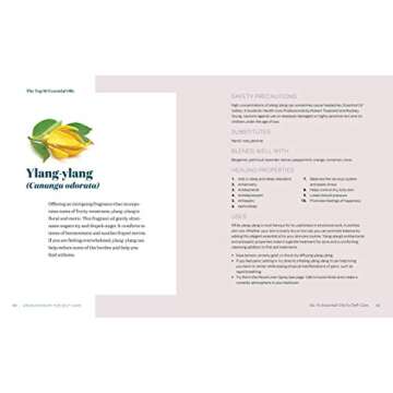 Complete Guide to Aromatherapy for Self-Care