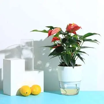 UltraOutlet 4 Inch Pots for Plants 5 Pack Self Watering Pots Indoor Flower Pots Plastic Planter Pots with a Watering Bottle