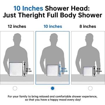 G-Promise All Metal 10 Inch Shower Head with Handheld