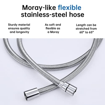 G-Promise All Metal 10 Inch Shower Head with Handheld