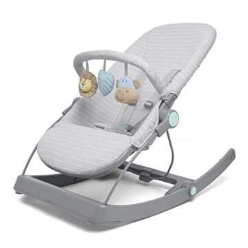 aden + anais 3-in-1 Infant Toddler Transition Seat