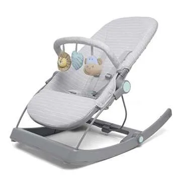 aden + anais 3-in-1 Infant Toddler Transition Seat